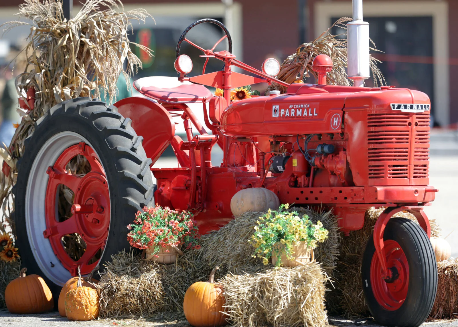 Vintage red tractor surrounded by hay bales and pumpkins at a fall festival